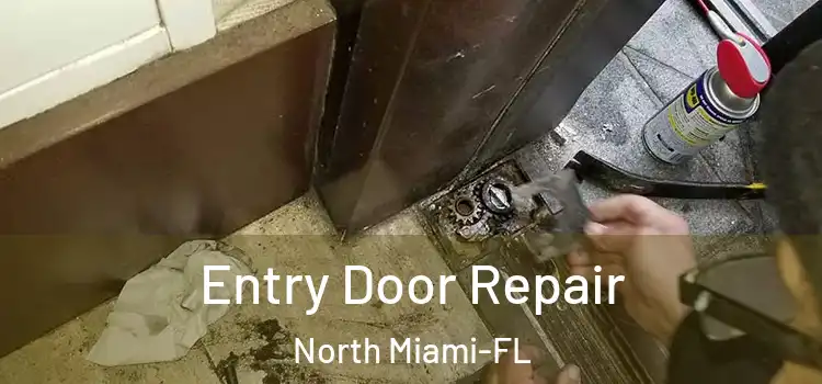  Entry Door Repair North Miami-FL