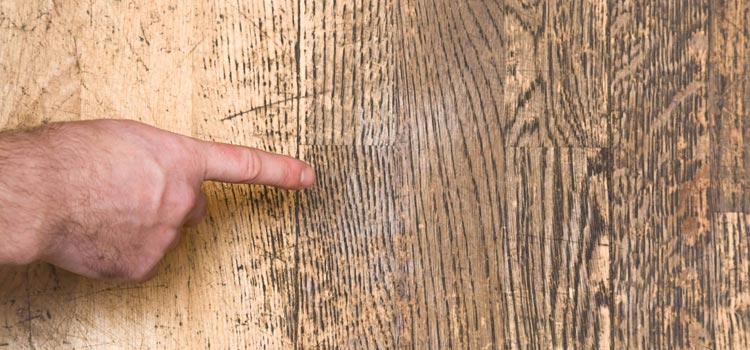 Wood Door Scratch Repair in North Miami